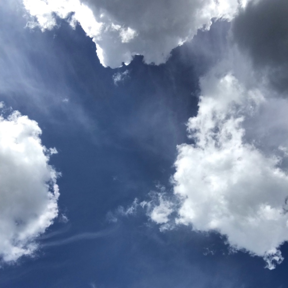 Meet your Posher, Lillian